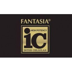 FANTASIA IC